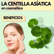 Centella asiática: el ingrediente calmante que debes conocer